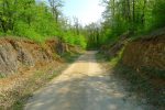 Descente dans un chemin ombragé, un peu pentu