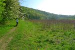 On longe la forêt