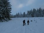 On monte les pentes le long de l'ancienne piste de ski, il y a suffisemment peu de neige pour que certains remontent à pieds