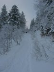 La belle vers 1400m pente avant le virage pour la montée finale au restaurant