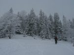 On croise un autre skieur de randonnée, plusieurs descendrons, ligne droite pour La Barillette