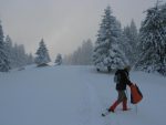 Même le chien a le droit à un manteau (dans la main de Nouchka)