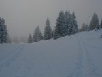 Dans la brume, j'hésite et puis ce sera à droite