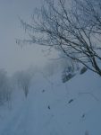 Le chemin d'été, et ici de raquettes vers le col de Porte