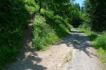 Après une brève incursion sur la route, nous repartons en forêt, les choses sérieuses commencent