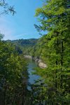 Une trouée permet de voir le lac de Moron