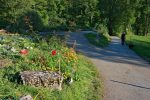 On emprunte la route avec un joli jardin