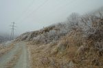 Joli le givre, mais sous la ligne ça bourdonne !