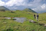 Une gouille que les vaches ont visité