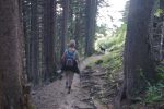 Passage en forêt