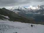 On retraverse le glacier sans s'encorder.