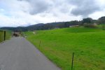 La tour du Mont Pèlerin en vue