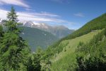 Des trouées dans la forêt, nous permettre de voir de l'autre coté de la vallée vers le glacier du Trient. La ferme Petite Erra sur la droite.