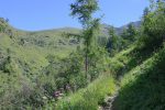 On sort de la Forêt du Revers, et la vue se dégage doucement