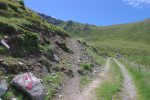 On quitte la route d'alpage, peu après la ferme, pour un chemin.