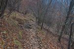 Puis le sentier descend