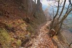 Le sentier est à flanc de coteau et on retrouve les feuilles mortes