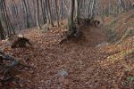 La descente se poursuit, juste après le virage on prendre un raccourci