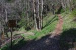 Le chemin de la Vie de Chaux (à droite), ça monte fort et c'est plein d'ail des ours au début