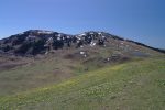 Le secteur (Col de Crozet) est plein de narcisses