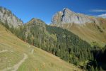 Descente