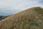 Pointe de Lachau