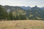 Descente dans les herbes hautes
