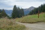 Col la Plagne, descente sur la route