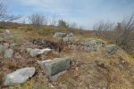 Une ruine à l'écart du chemin
