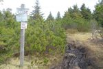 Chemin bien humide