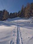 On poursuit notre montée, dans une couche de poudre toujours plus épaisse, 5-6cm