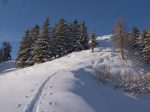 La montée finale, le sommet est en haut à droite