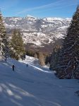 La population qui monte se fait de plus en plus nombreuse, et dans les passages en forêt, il faut attendre son tour !