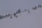 Zoom sur le Mont-Tendre où nous n'irons pas