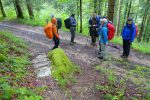 Puis nous voilà enfin en forêt