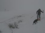 On monte à coté des remonte-pentes, un autre skieur avec son chien