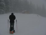 Terminus du remonte-pente, on rentre dans la forêt pour un peu de temps.