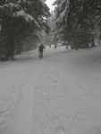 Dans la forêt, il y a assez de neige, des raquetteurs qui descendent.