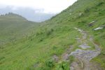 Chemin souvent emprunté