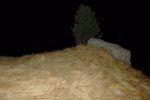 Après la caillasse, de l'herbe puis un peu d'arbres