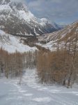On passe dans la forêt, où je retrouve mes traces de montée. Descente en douceur vu la neige un peu lourde