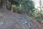 Le chemin monte bien dans ce début de balade et nous passons pour un peu de temps dans la forêt