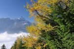 Vue arrière sur la Cime de l'Est avec les belles couleurs d'automne et le stratus sur la vallée du Rhône