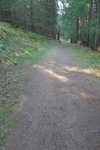 Parcours forestier