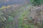 Terrain gras