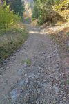 Descente par une route de 4x4