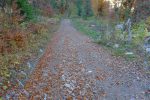 Route, un peu pénible