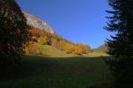 Jolies couleurs d'automne