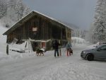 Départ sur la route de Gryon - Les Pars, on s'arrête juste avant le virage du Pt1132 des Pars, plusieurs places de parc.