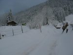 On remonte la route de Matélon, il y a juste de quoi skier avec les peaux.